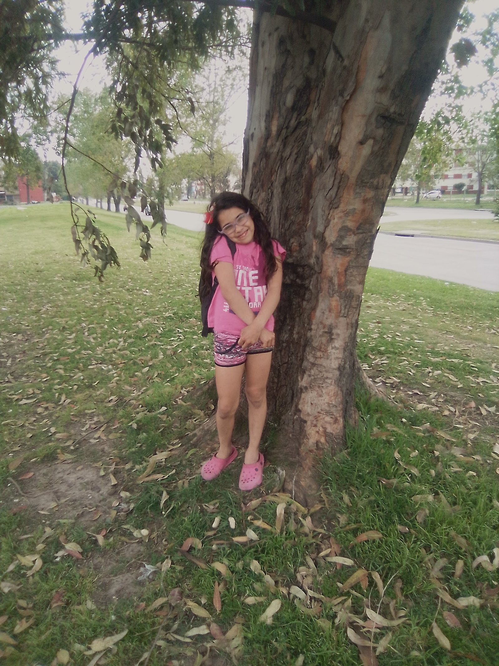 Imagen de la base de datos