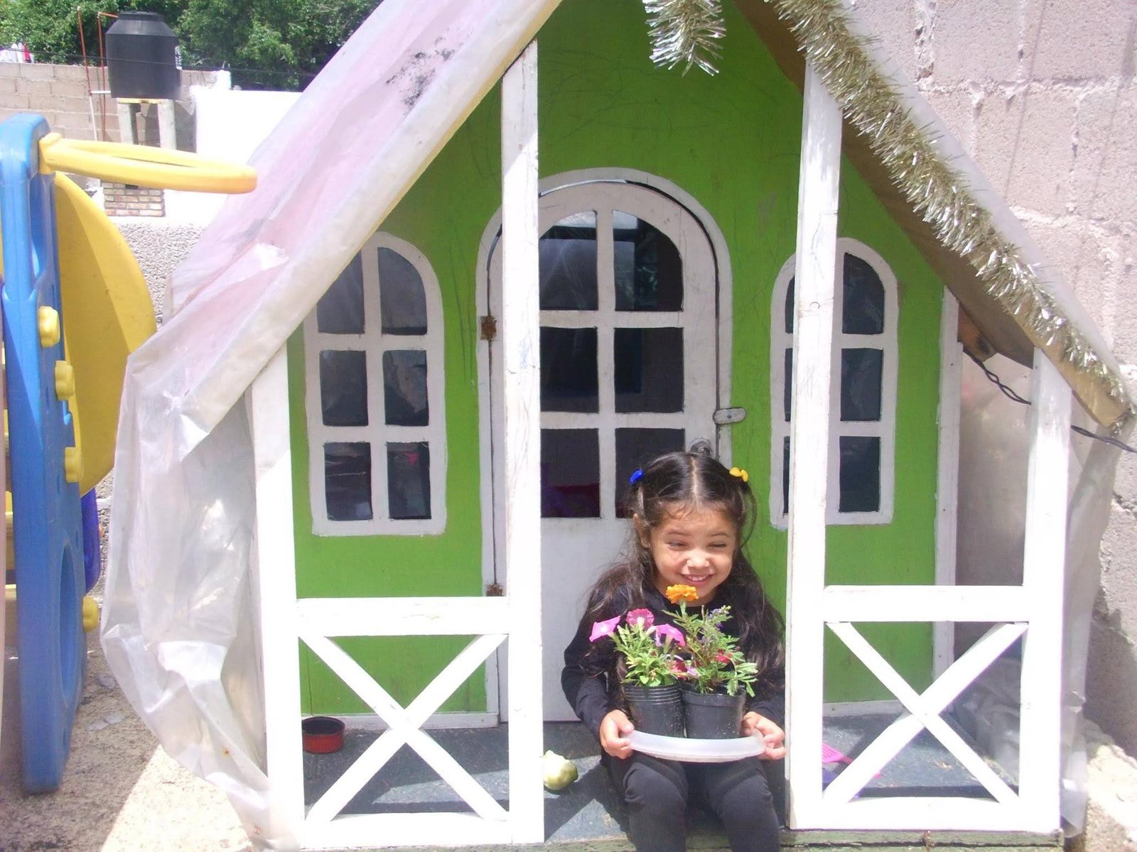 Imagen de la base de datos