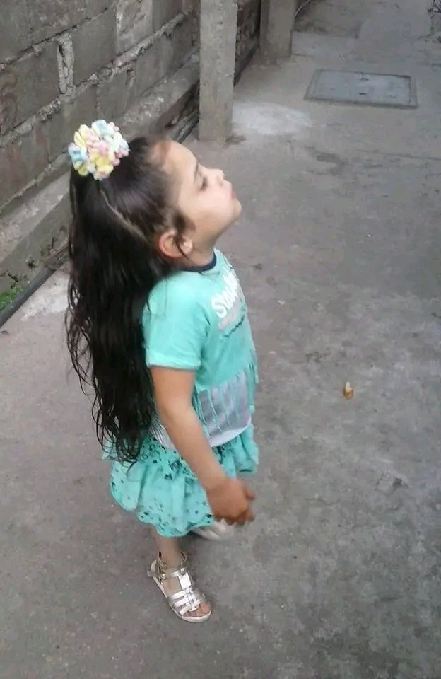 Imagen de la base de datos