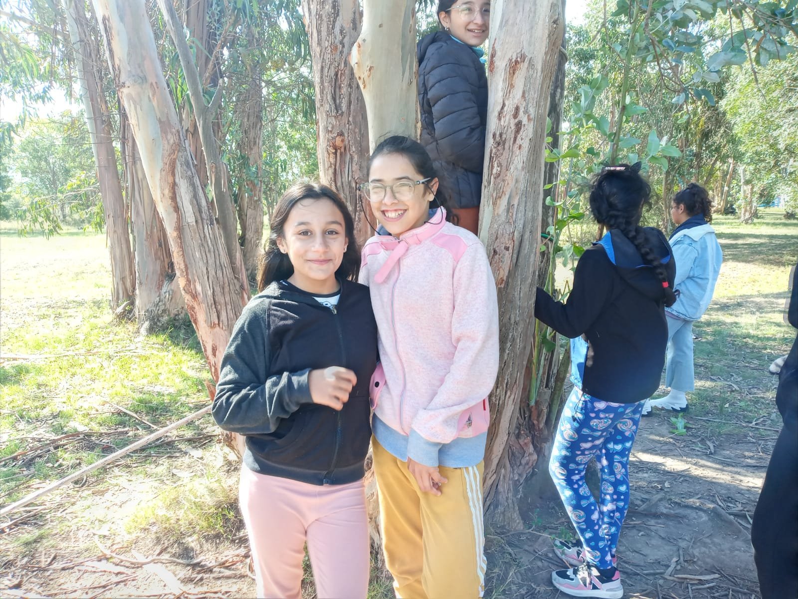 Imagen de la base de datos