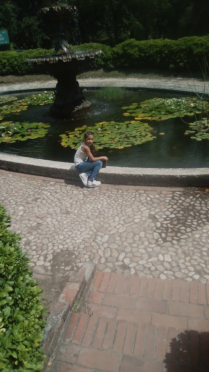 Imagen de la base de datos