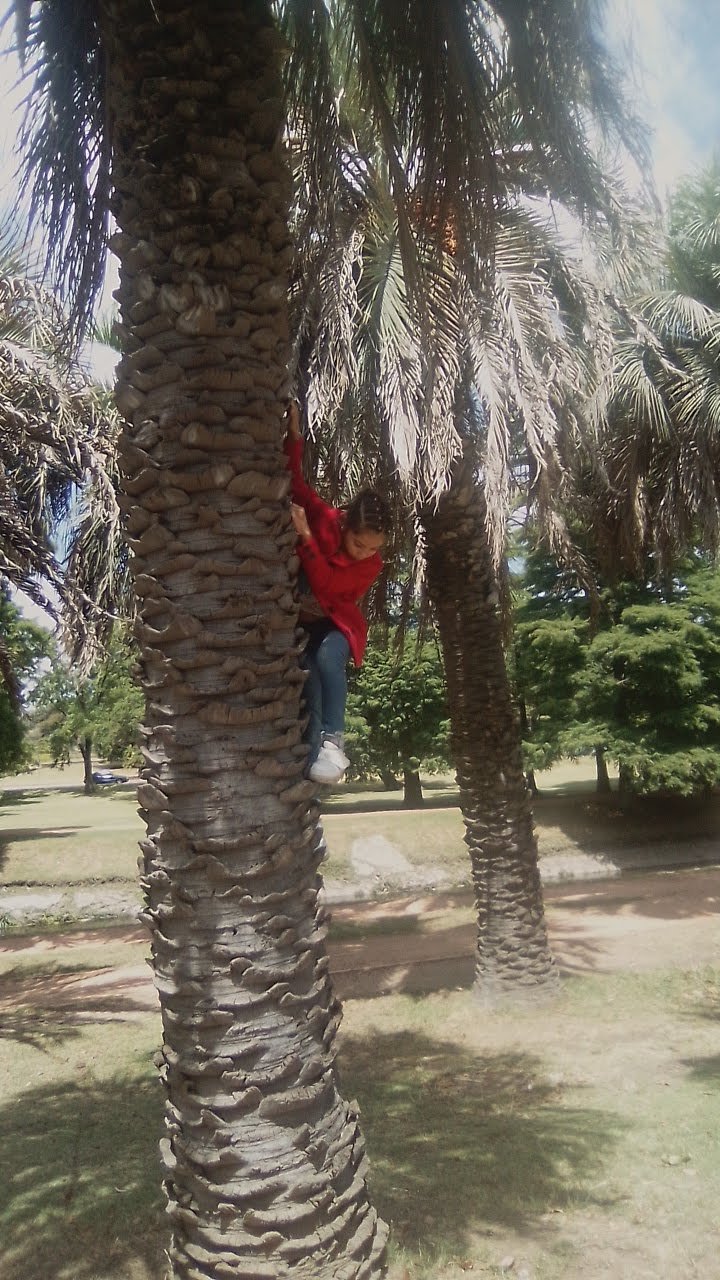 Imagen de la base de datos